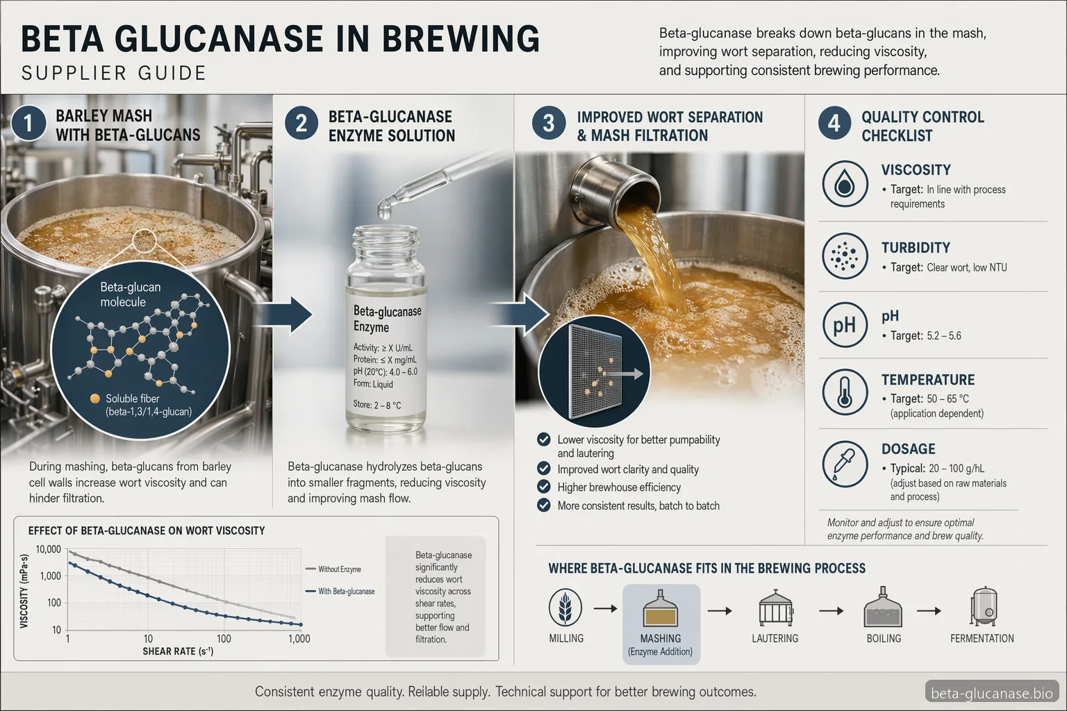 beta glucanase in brewing supplier guide infographic showing mash viscosity, filtration, dosing and QC checks