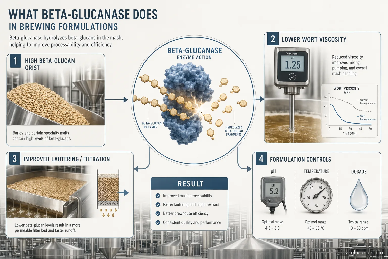 what is beta glucanase brewing guide: enzyme infographic shows wort viscosity, filtration, extract recovery, pH and heat controls